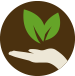 Marketing consulenza all'impresa agricola